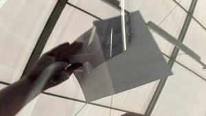 windscreen chips