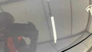 bonnet chips