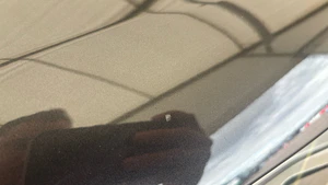 bonnet chips