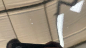 bonnet chips